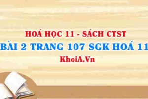 Bài 2 trang 107 SGK Hóa 11 Chân trời sáng tạo